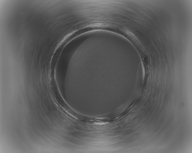 X0000065950484200603061128
