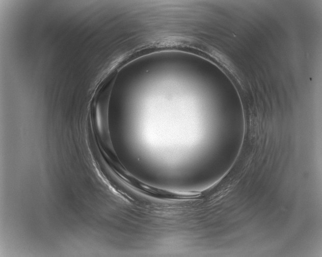 X0000065950485200603061128