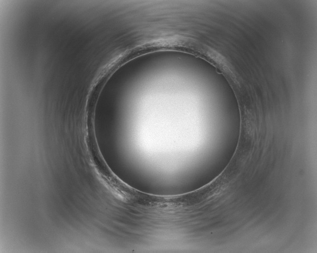 X0000065950486200603061128