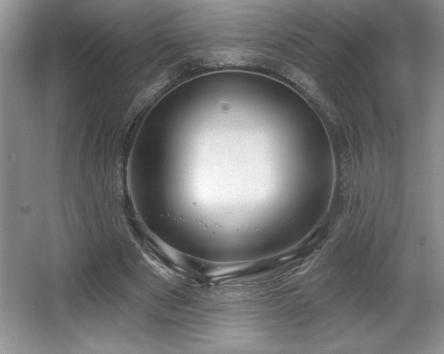 X0000065950489200603061128