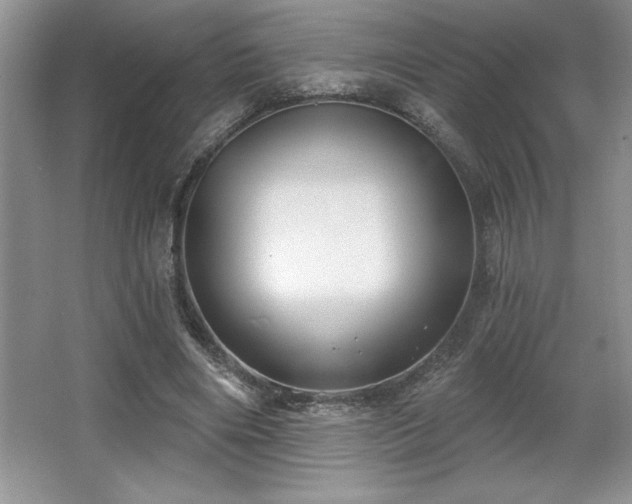 X0000065950490200603061128
