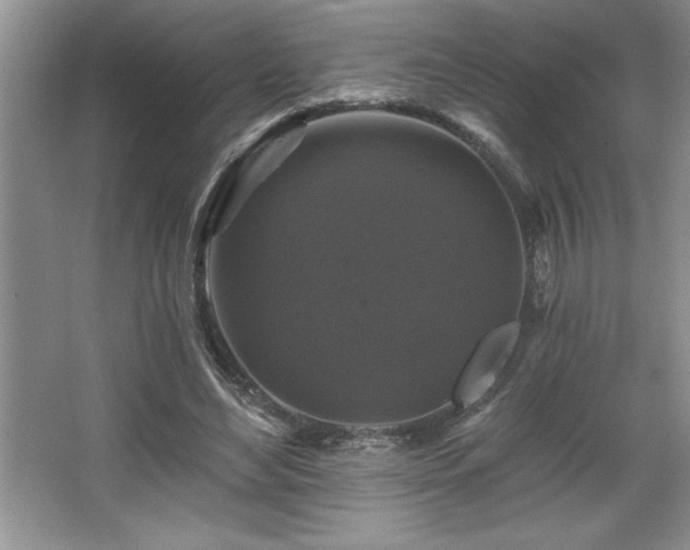 X0000065950492200603061128