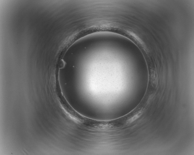 X0000065950493200603061128
