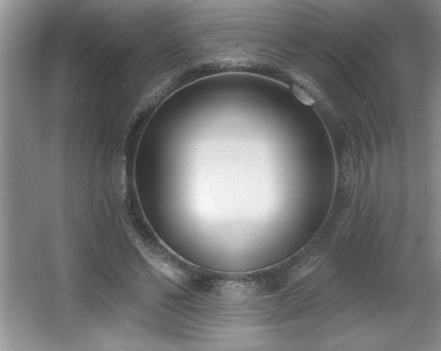 X0000065950494200603061128