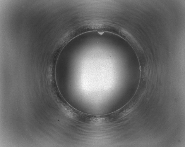 X0000065950497200603061128