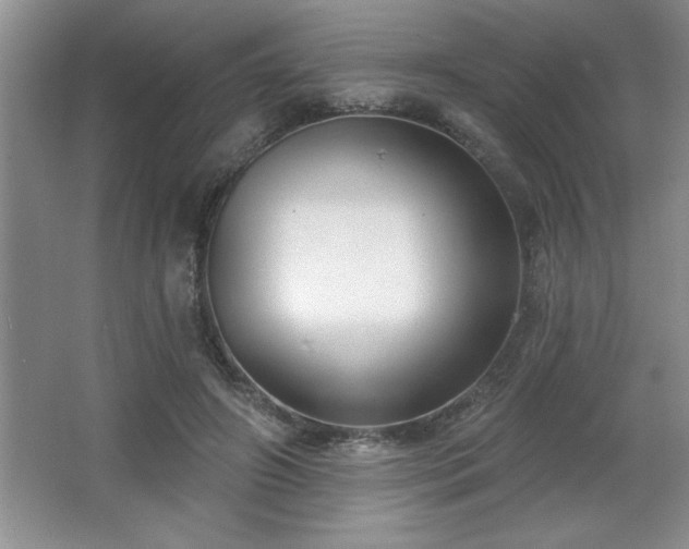 X0000065950498200603061128