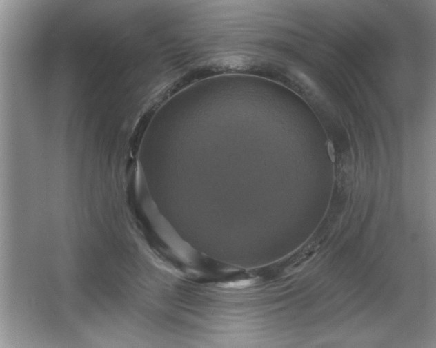X0000065950500200603061128