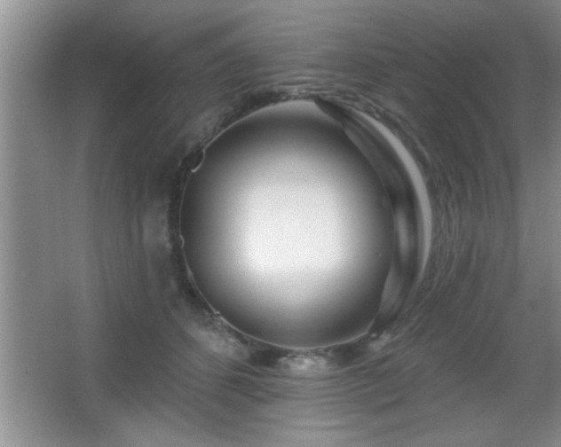 X0000065950512200603061128