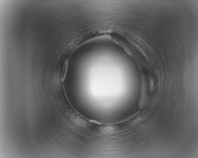 X0000065950513200603061128