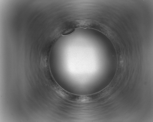 X0000065950514200603061128