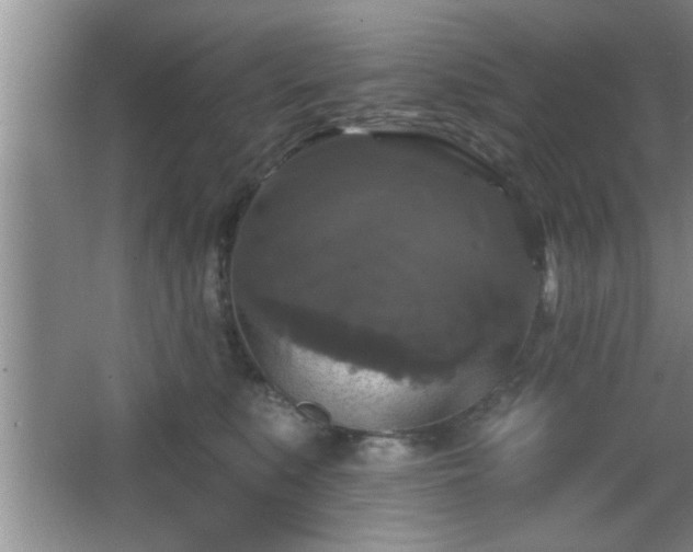 X0000065950519200603061128