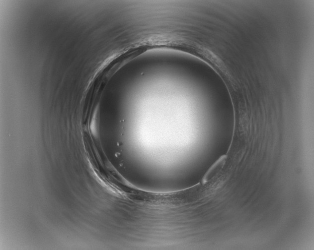 X0000065950530200603061127