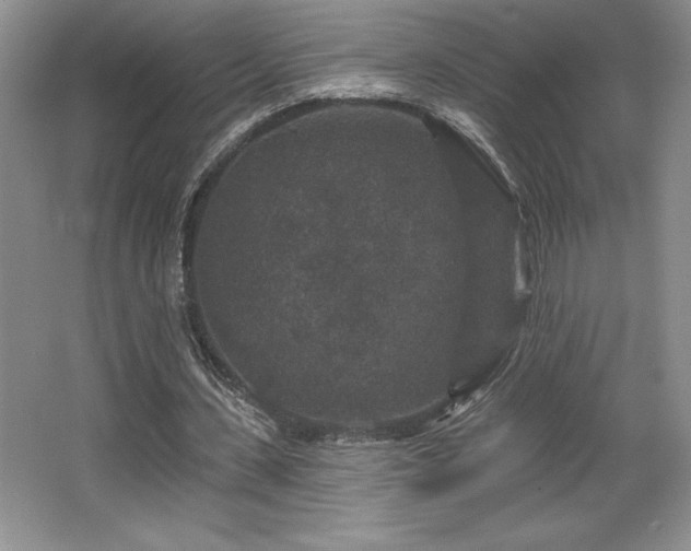 X0000065950531200603061127