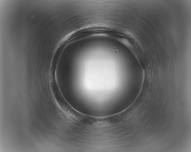 X0000065950536200603061127