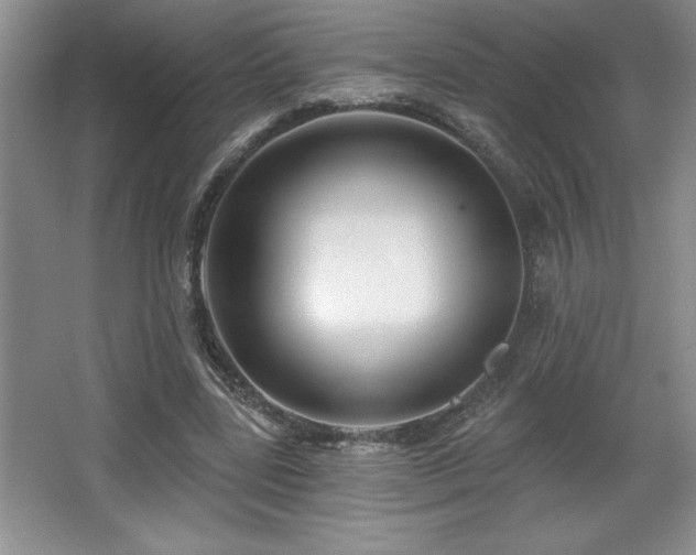 X0000065950539200603061127