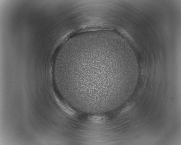 X0000065950542200603061127