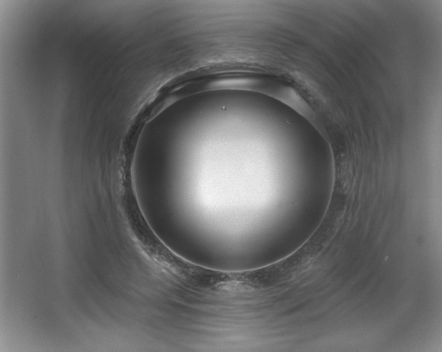 X0000065950544200603061127
