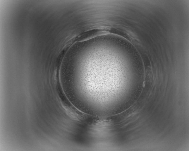 X0000065950550200603061127