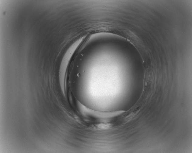 X0000065950552200603061127