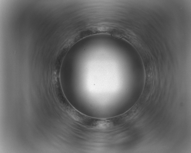 X0000065950555200603061127