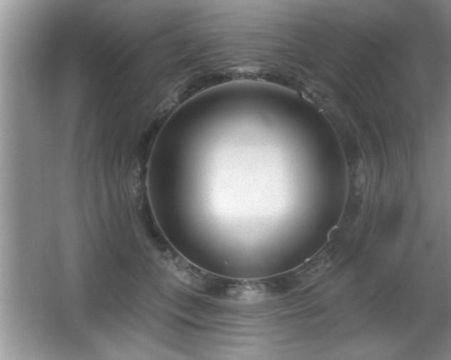 X0000065950559200603061127