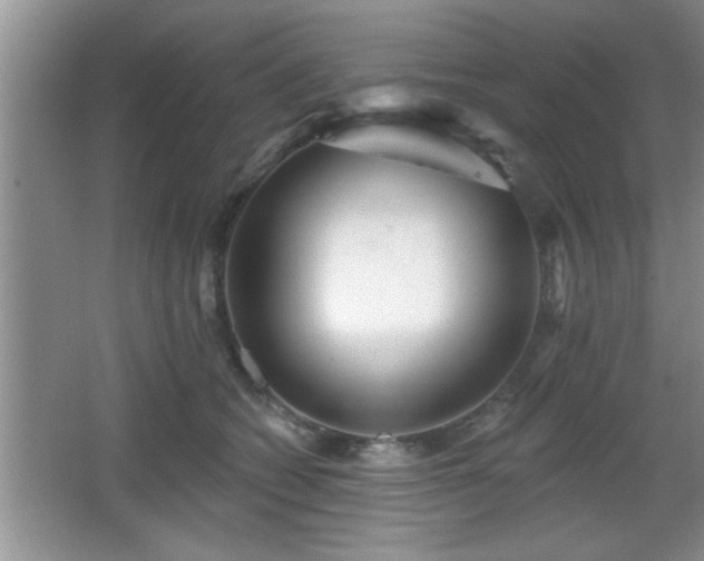 X0000065950562200603061127