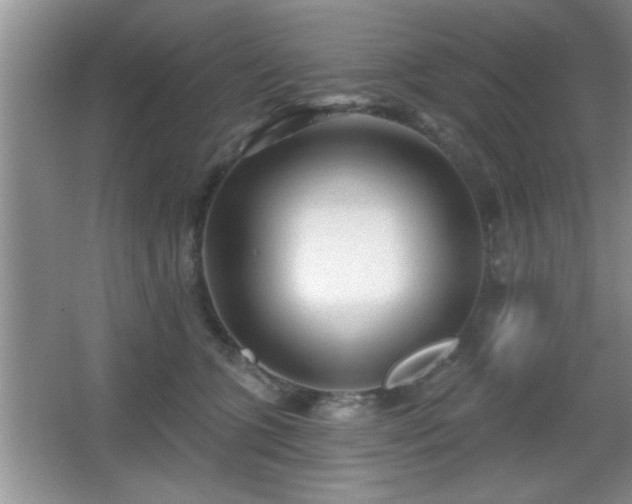 X0000065950563200603061127