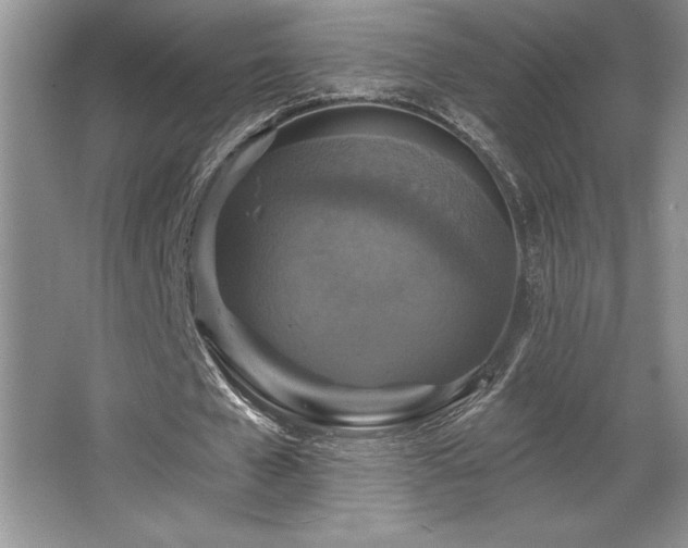 X0000065950577200603061127