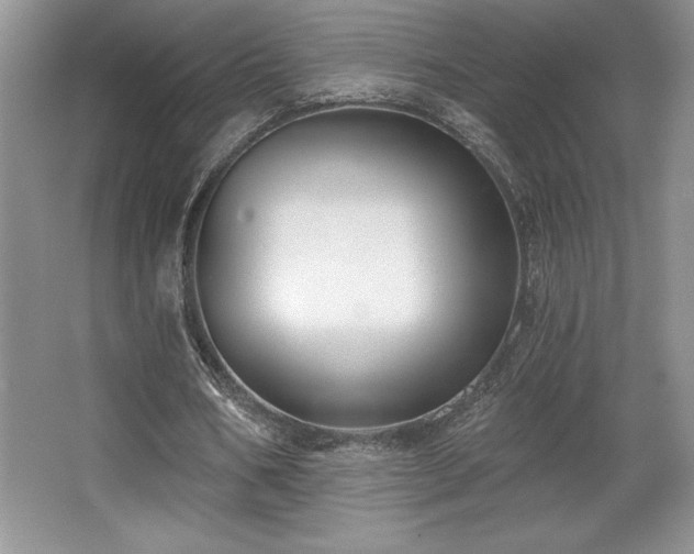 X0000065950578200603061127