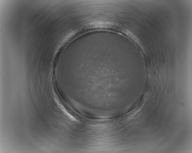 X0000065950581200603061127
