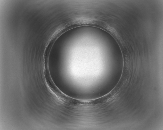 X0000065950582200603061127