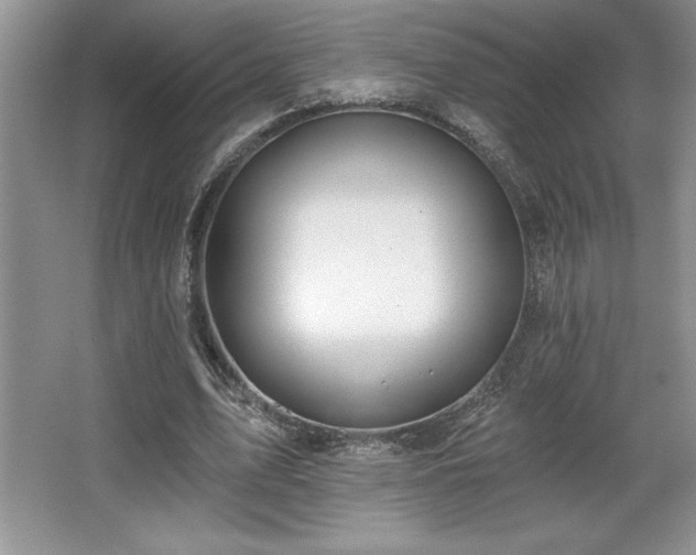 X0000065950583200603061127