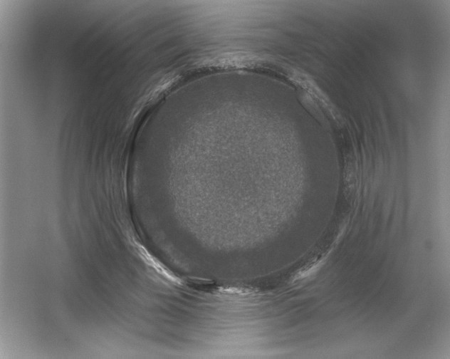 X0000065950585200603061127