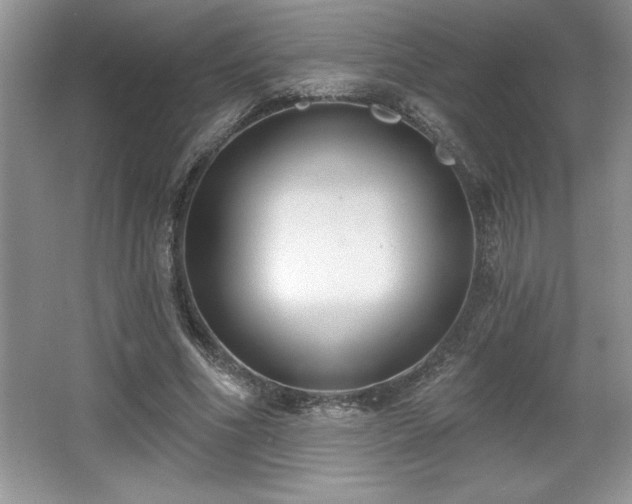 X0000065950586200603061127