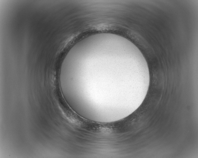 X0000065950592200603061126