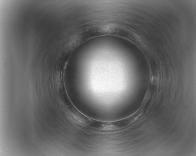 X0000065950605200603061126