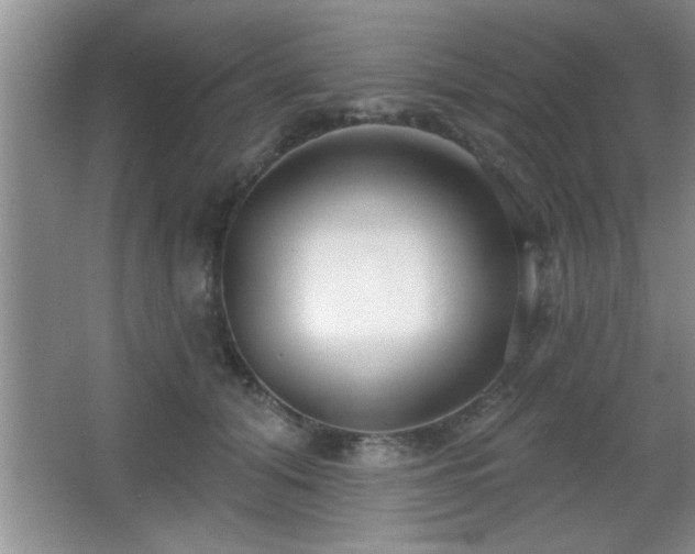 X0000065950608200603061126