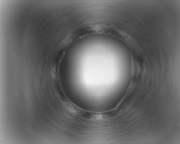 X0000065950611200603061126