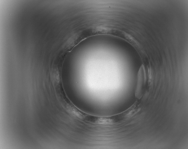 X0000065950617200603061126