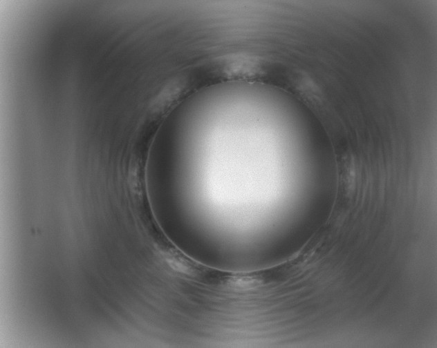X0000065950619200603061126