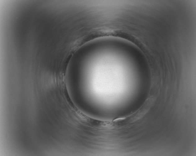 X0000065950624200603061126