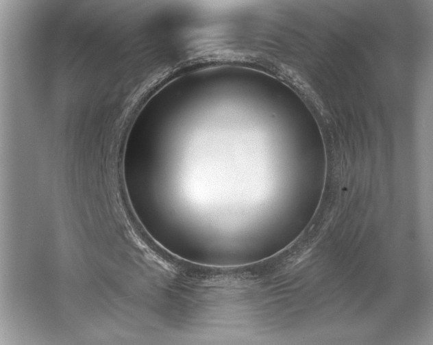 X0000065950625200603061125