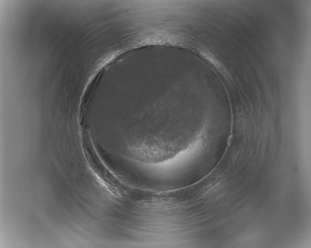 X0000065950626200603061125