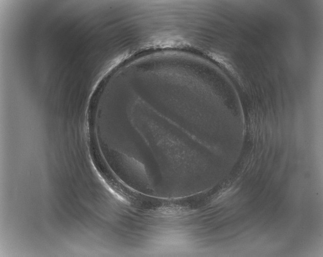 X0000065950630200603061125