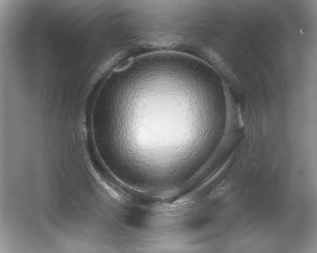 X0000065950634200603061125