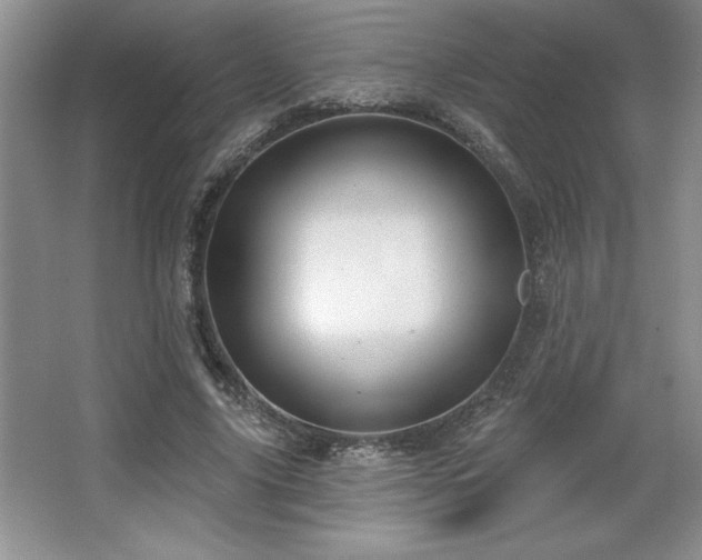 X0000065950635200603061125
