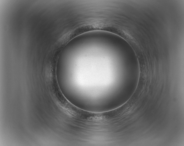 X0000065950639200603061125