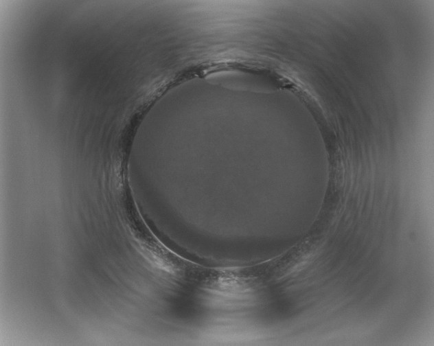 X0000065950641200603061125
