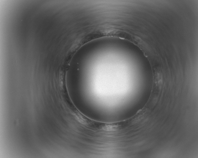 X0000065950664200603061126