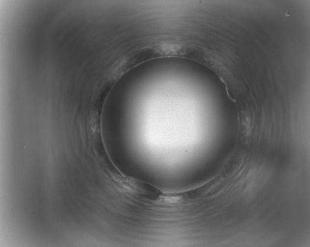 X0000065950665200603061126